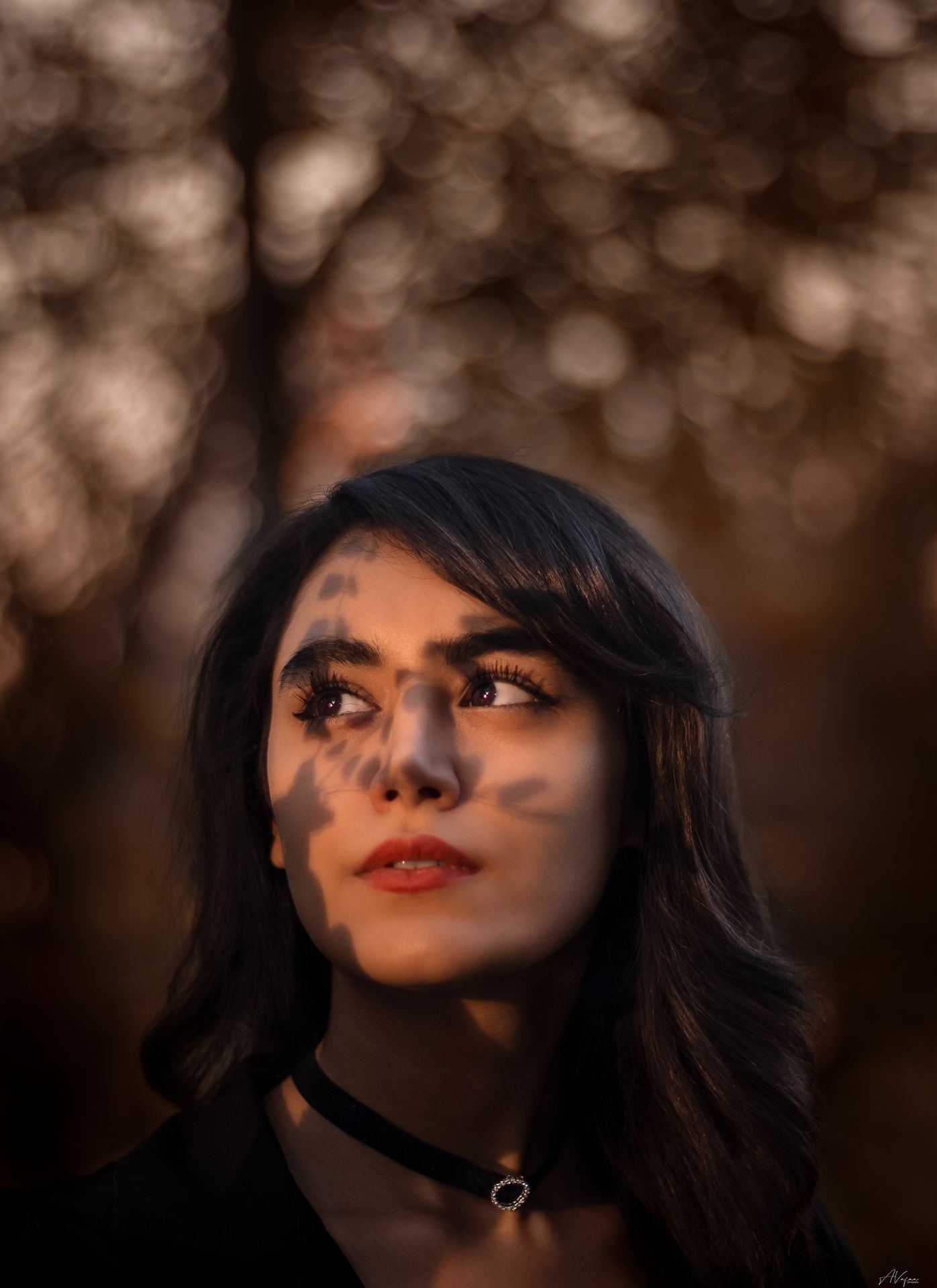 Niloufar Rabiee